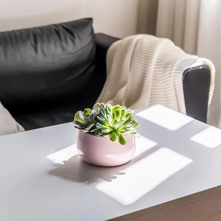 Апартаменты Designer Library House Studio, Walk To Old Town