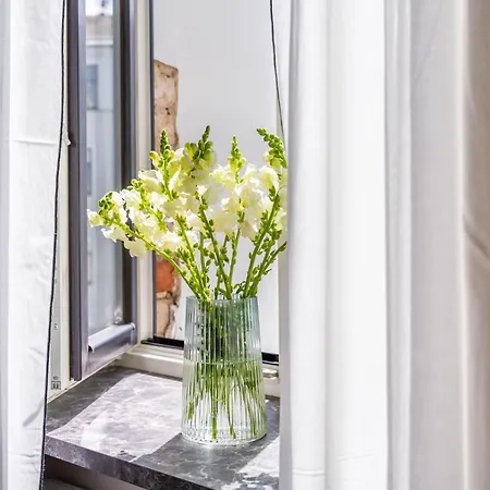 Апартаменты Designer Library House Studio, Walk To Old Town